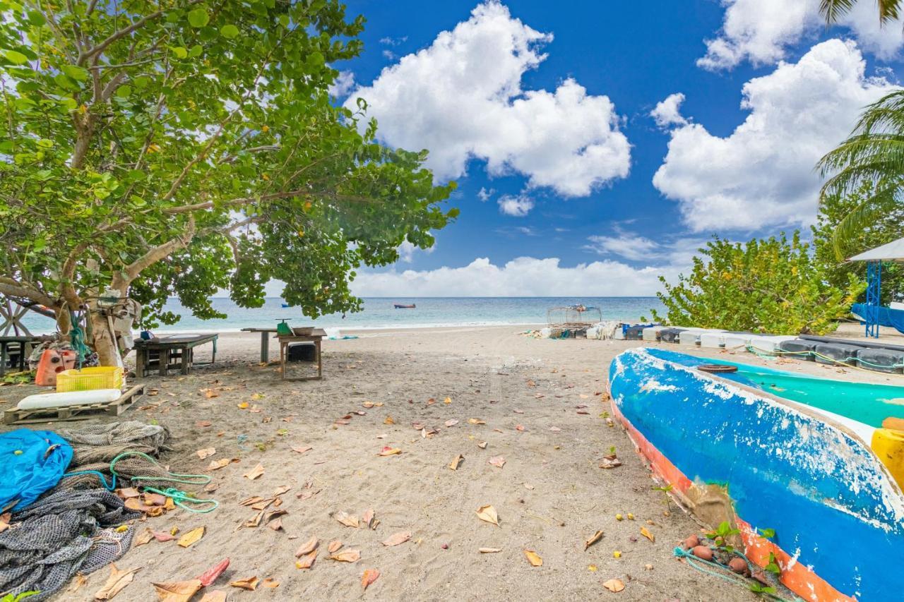 Appartement Charmant Au Carbet Avec Vue Sur La Mer 50 M² Le Carbet Kültér fotó